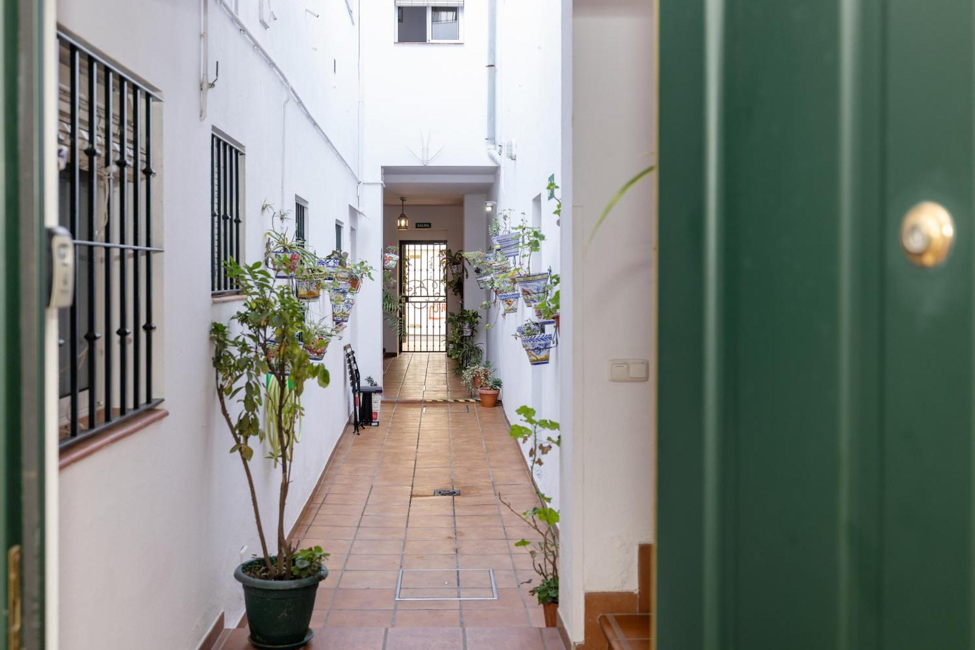 Apartamentos Trianasol Sevilla Eksteriør bilde