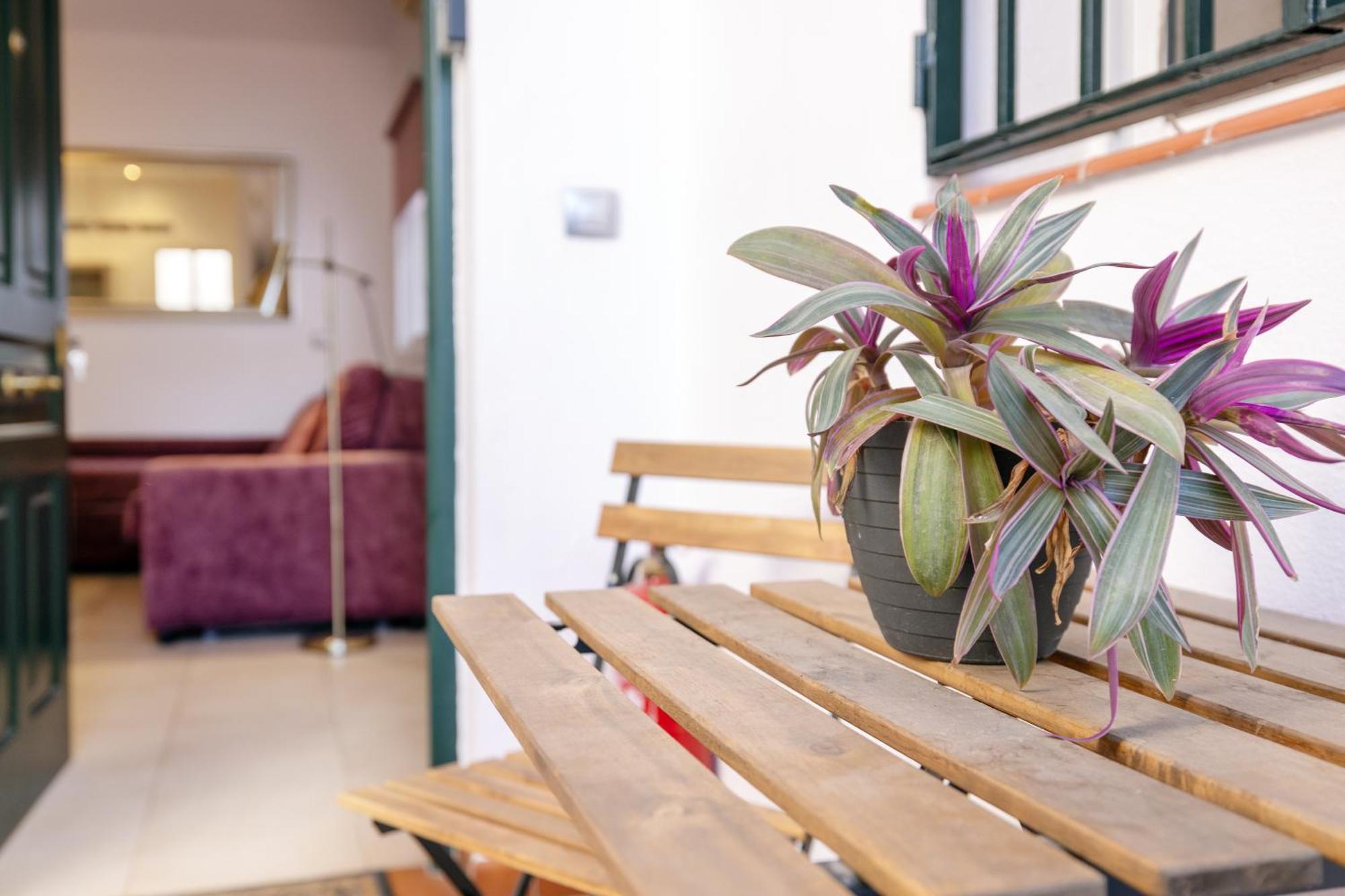 Apartamentos Trianasol Sevilla Eksteriør bilde
